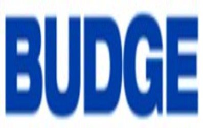 Budge